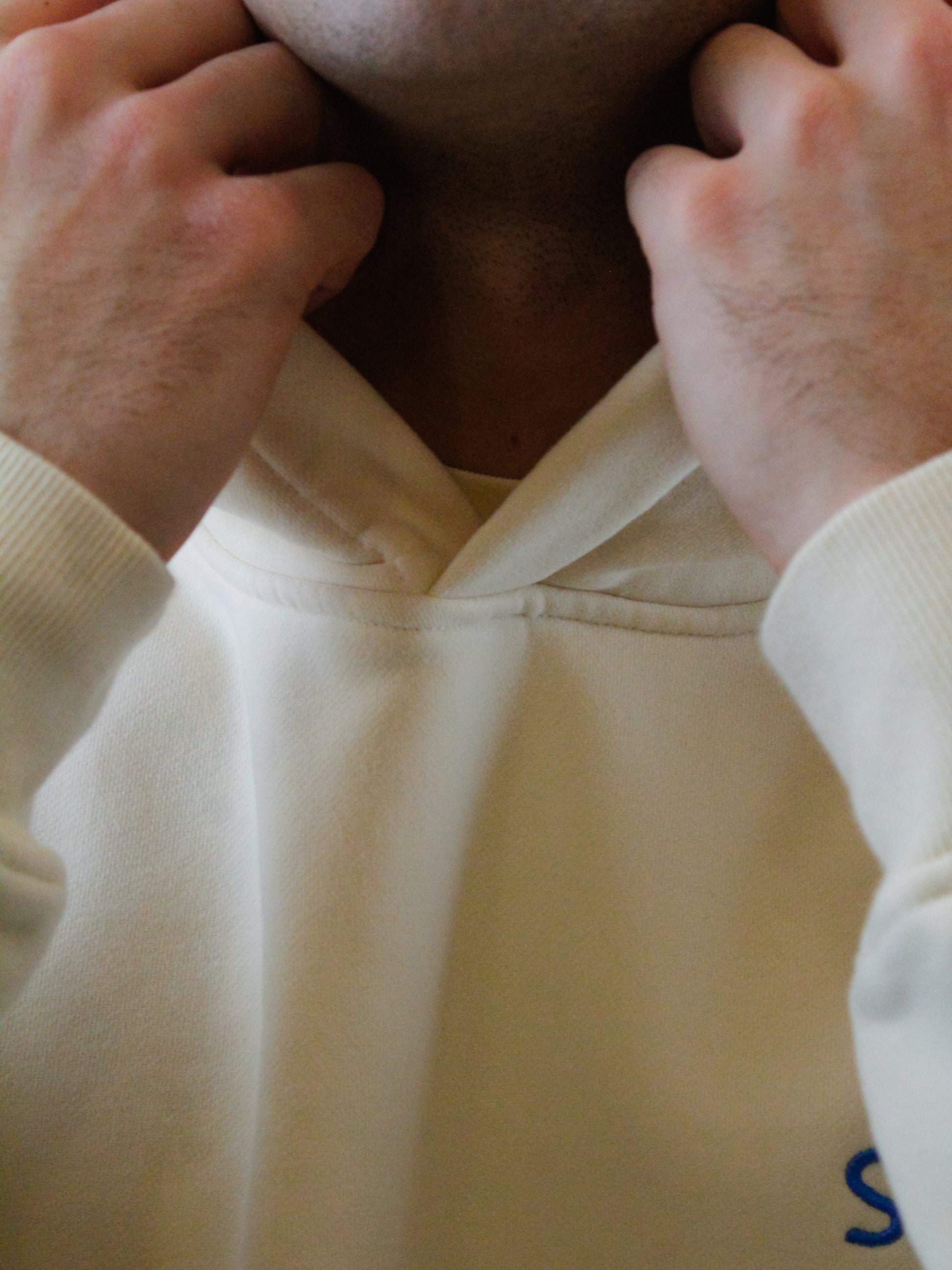 Hoodie "I want more of everything"